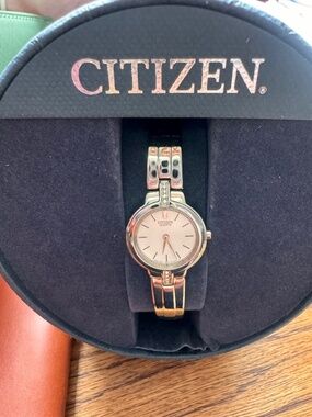 Citizen wristwatch